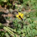 MysteryCruise_0052 (September 06, 2013)